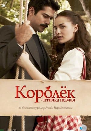 Королек птичка певчая